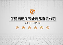 廣州朝飛公司簡(jiǎn)介PPT 公司介紹PPT設(shè)計(jì)制作
