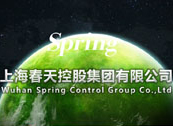 上海春天集團(tuán)企業(yè)介紹PPT設(shè)計(jì)制作 公司介紹PPT