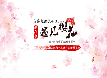 櫻花節(jié)PPT設(shè)計(jì)制作