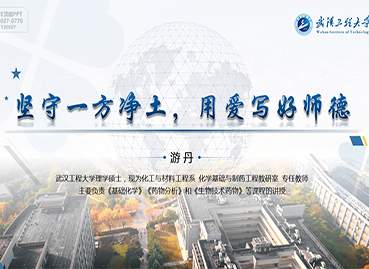 武漢工程大學(xué)PPT設(shè)計(jì)制作