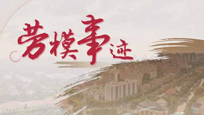 上海金橋集團PPT設計