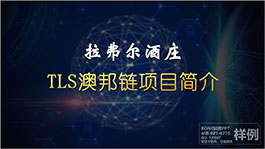 深圳澳邦鏈項(xiàng)目簡(jiǎn)介商業(yè)計(jì)劃書BPPPT