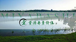 官橋田野鄉(xiāng)村公園