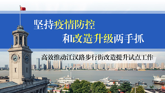 江漢路步行街改造工作匯報ppt美化