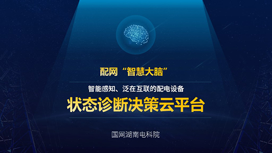 “智慧大腦”云平臺工作匯報ppt代做